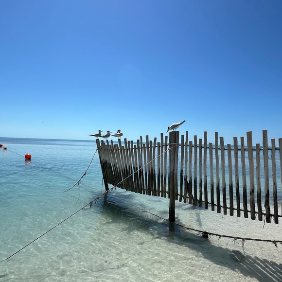 Meet your Posher, Nadia!!!! - Picture 1 of 1